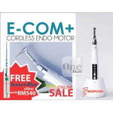 E-Com+ Endo Motor -FREE Aurum Blue File x 3 bxs